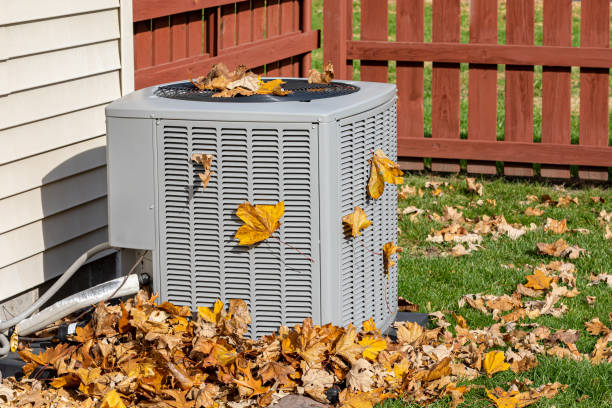 Best Energy-efficient HVAC Solutions in Hanapepe, HI